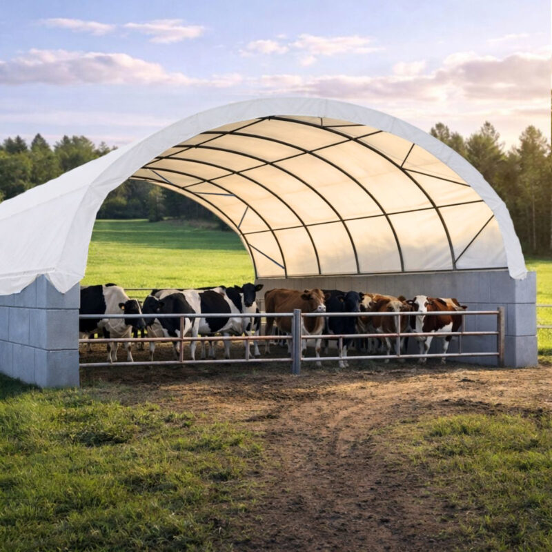 Rinderstall LU10x18 m